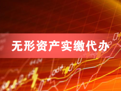 瑞安无形资产实缴资本代办