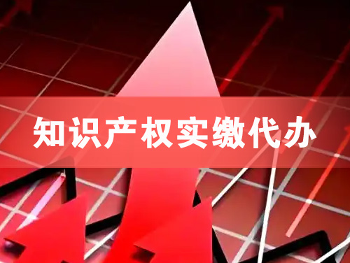 瑞安知识产权实缴资本代办